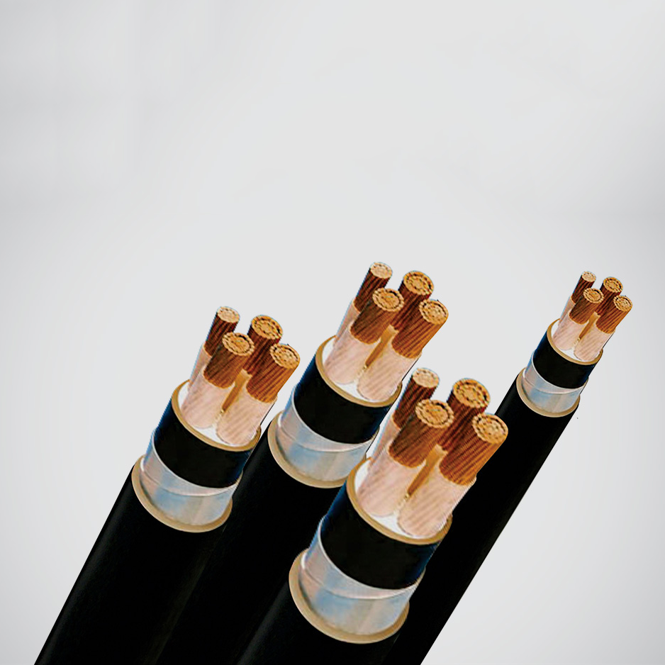 Cáp Điện Lực Hạ Thế